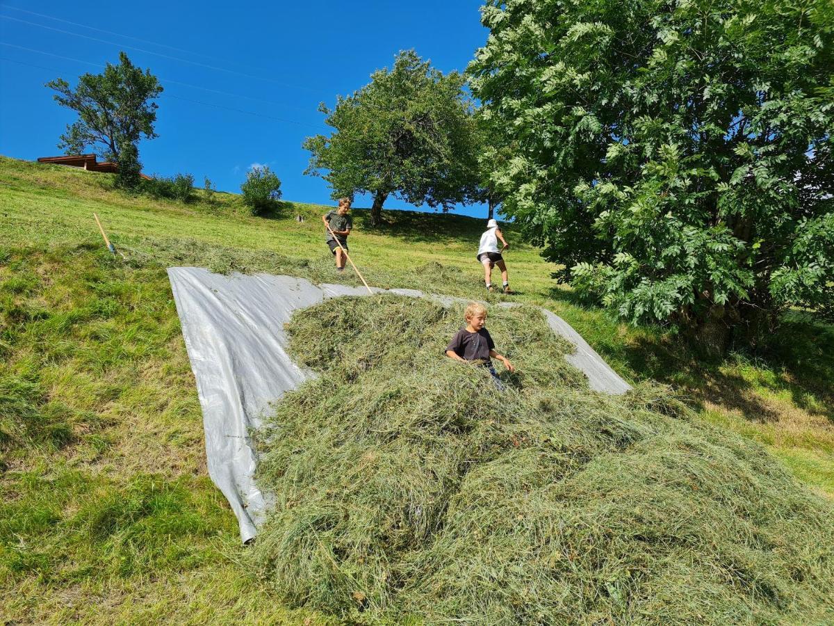 Appartamento Haus Lentsch Kaunerberg Esterno foto
